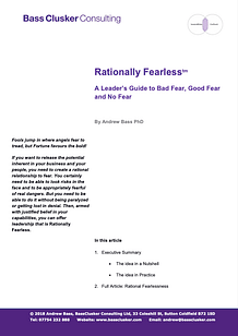 Andy Bass Rationally Fearless cover