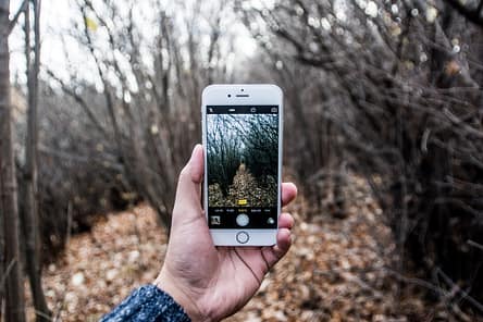 camera-woods